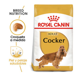 Royal Canin Adult Cocker ração para cães
